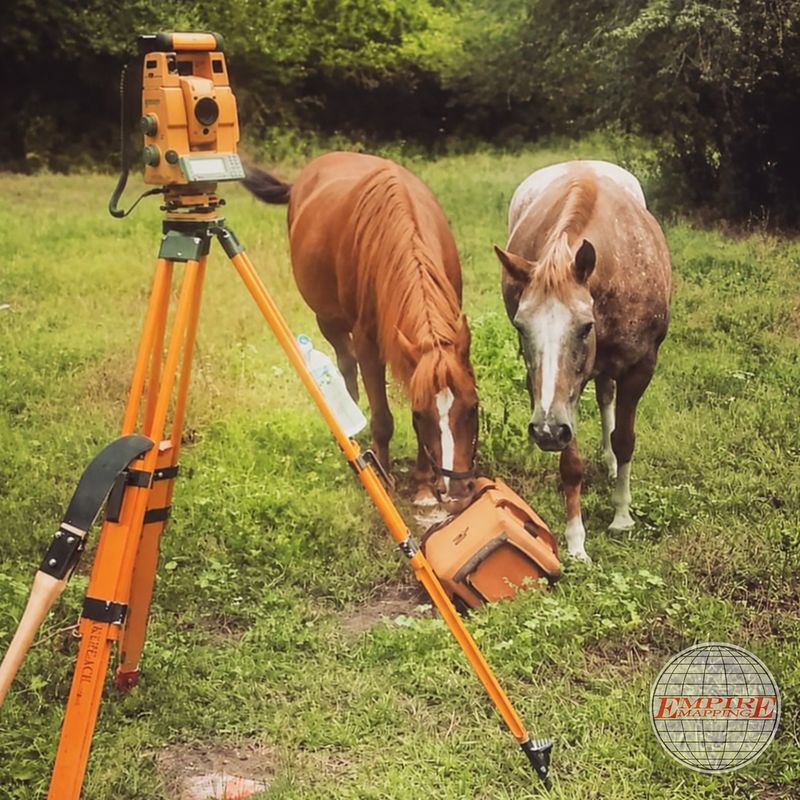 Orange survey tripod and instrument set up in a pasture while two horses graze beside it